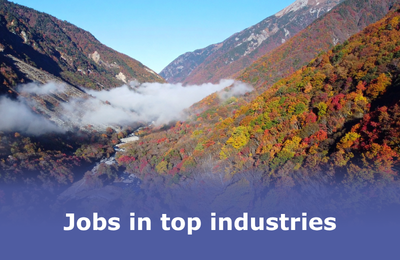 Jobs in other industries