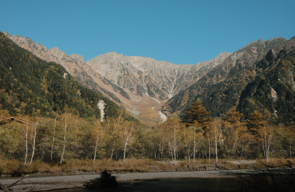 Vacation Rental Manager - Native English / JLPT N4